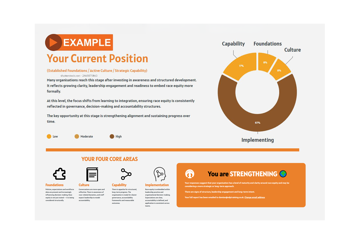 A full example of the Race Equity Health Check results